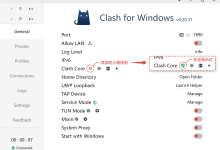 Clash for windows tun mode TUN 模式应用-Clash下载站(CFW)